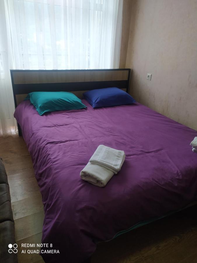 Appartement Alena'S Flat à Bordjomi Extérieur photo