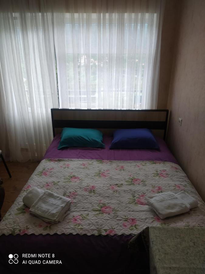 Appartement Alena'S Flat à Bordjomi Extérieur photo